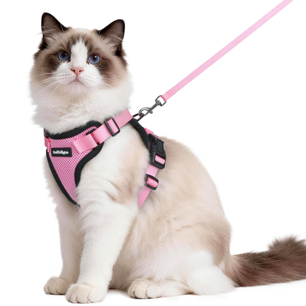 rabbitgoo Cat Harness and Leash Set, Escape Proof Vest, Black | Soft Breathable Mesh, Easy Adjustable Fit, Snap Buckles, Sturdy Clip, Reflective Strips, for Small & Average Cats Walks, Xs