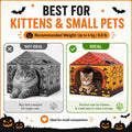 Tailtastic Halloween Cat Scratcher House with Pads & Catnip for Indoor Cats