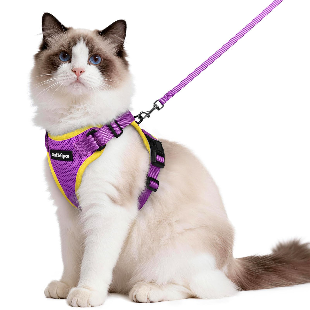 rabbitgoo Cat Harness and Leash Set, Escape Proof Vest, Black | Soft Breathable Mesh, Easy Adjustable Fit, Snap Buckles, Sturdy Clip, Reflective Strips, for Medium to Large Cats Walks, M