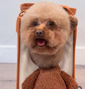 Dog/cat Carrier Purse – Viral on TikTok! Soft Travel Tote for Small Dogs or Cats with Leash Clip & Peek Window – Cute Bag for Bichon, Poodle, Yorkie, Chihuahua (