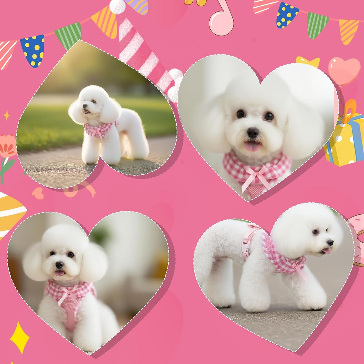 EXPAWLORER Step-in Dog Harness Small Sized Collar and Leash Set