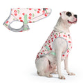 Spark Paws Dog Cooling Vest - SPF 50 UV Sun Protection - Summer Heat Relief Gear for Dogs, Lightweight, Evaporative Cooling - Dog Anxiety Relief Vest During Hot Days - Snowcone, XL