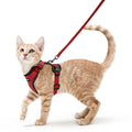rabbitgoo Cat Harness and Leash Set, Escape Proof Vest, Black | Soft Breathable Mesh, Easy Adjustable Fit, Snap Buckles, Sturdy Clip, Reflective Strips, for Small & Average Cats Walks, Xs