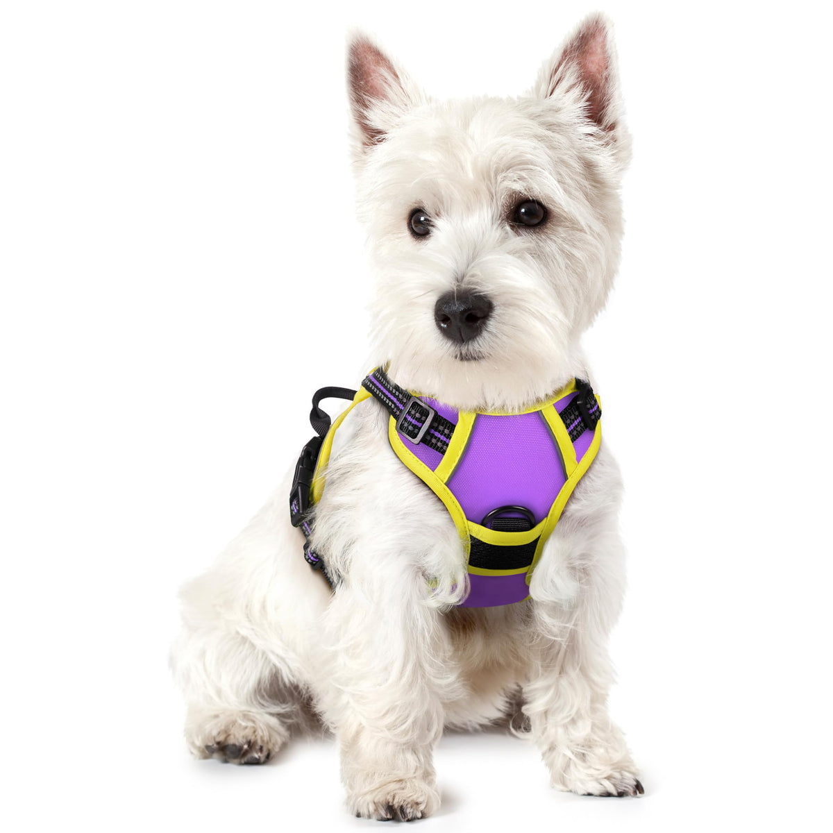 rabbitgoo Dog Harness No Pull with 2 Leash Clips, Adjustable Soft Padded, Reflective Oxford No Choke Pet Vest with Easy Control Handle for Medium Sized Dogs, Black, M