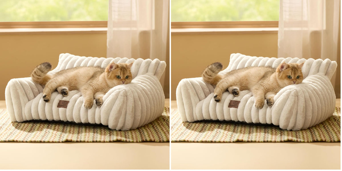 Bedsure ComfyFleece™ Shown on TV Fluffy Cute Dog Couch for Pets,30in Cream | Small & Medium Dog Bed Washable Cover,Supportive Couch Bed for Small Dogs,Pet Sofa Seen on Good Day New York,Up to 20 Lbs
