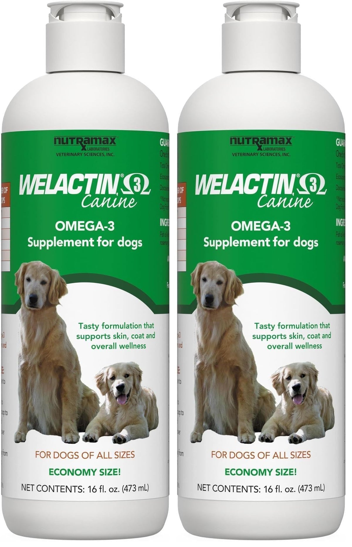 Nutramax Welactin Omega 3 Fish Oil for Dogs, Skin and Coat Health Supplement, Plus Joint, Immune, Kidney, and Brain Support, Premium Omega 3 Fatty Acids, For Dogs, 16 Ounce Liquid