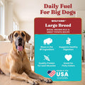 Solid Gold Bison Dry Dog Food for Large Dogs – High Protein, Whole Grain Kibble with Real Bison, Brown Rice & Omega 3 – Large Kibble w/Probiotics for Gut Health - Adult Dog Food - Nutrientboost™–22LB