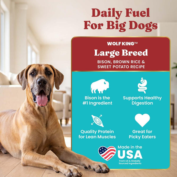 Solid Gold Bison Dry Dog Food for Large Dogs – High Protein, Whole Grain Kibble with Real Bison, Brown Rice & Omega 3 – Large Kibble w/Probiotics for Gut Health - Adult Dog Food - Nutrientboost™–22LB