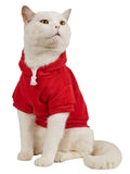 QWINEE Basic Dog Hoodie Sweatshirt Puppy Sweater Warm Cat Costumes Pet Clothes for Chihuahua Puppy Kitten Small Medium Dogs Cadet Blue Medium