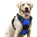 rabbitgoo Dog Harness No Pull with 2 Leash Clips, Adjustable Soft Padded, Reflective Oxford No Choke Pet Vest with Easy Control Handle for Medium Sized Dogs, Black, M