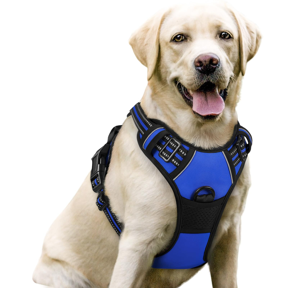 rabbitgoo Dog Harness No Pull with 2 Leash Clips, Adjustable Soft Padded, Reflective Oxford No Choke Pet Vest with Easy Control Handle for Large Dogs, Black, L