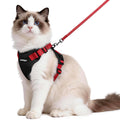rabbitgoo Cat Harness and Leash Set, Escape Proof Vest, Black | Soft Breathable Mesh, Easy Adjustable Fit, Snap Buckles, Sturdy Clip, Reflective Strips, for Medium to Large Cats Walks, M