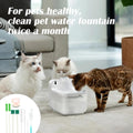 9PCS Pet Water Fountain Cleaning Kit with Compressed Sponge and Storage Box,Dog and Cat Water Fountain Brushes Fit Most Pet Water Dispensers,Pet Drinking Dispenser Cleaning Kit Cleaning brush