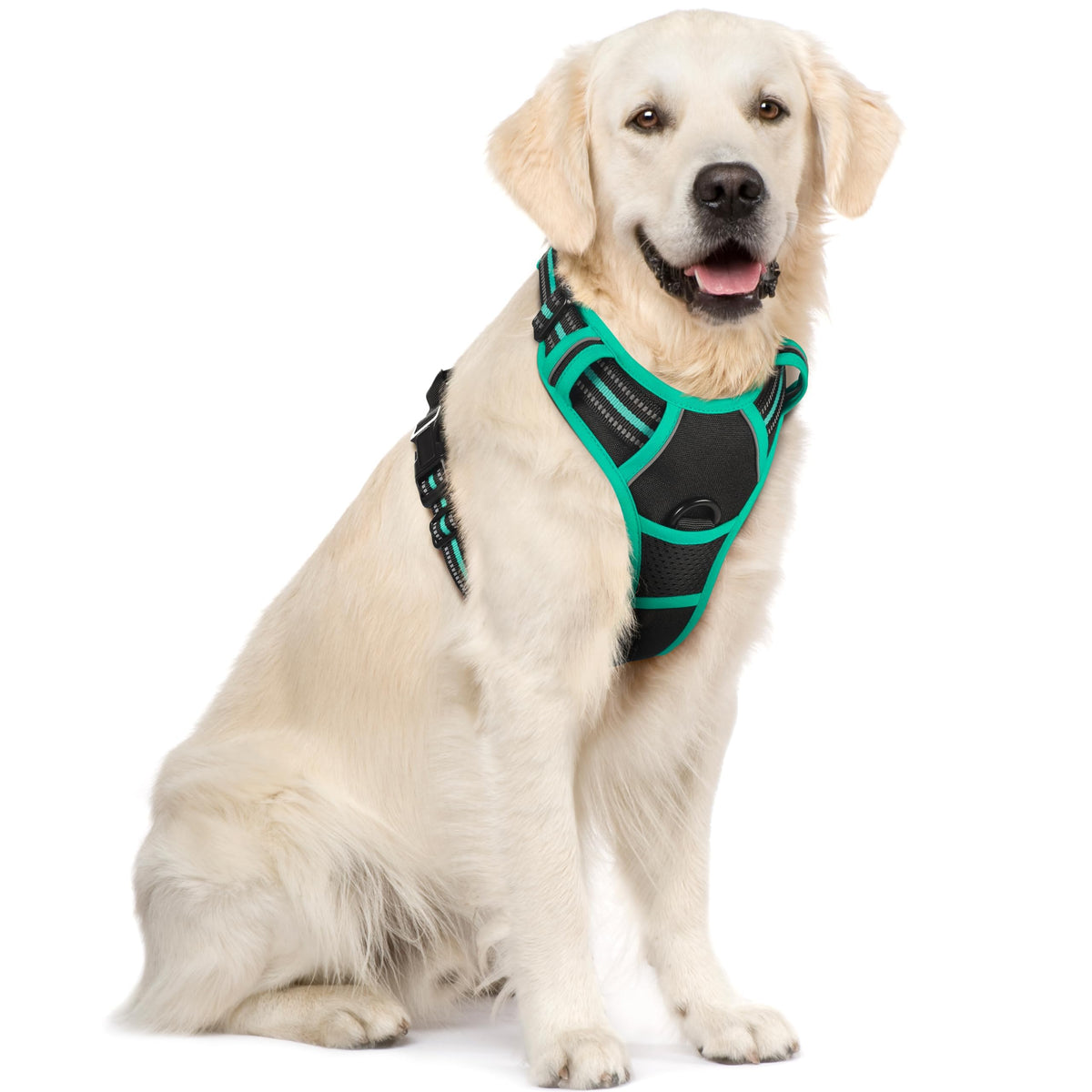 rabbitgoo Dog Harness No Pull with 2 Leash Clips, Adjustable Soft Padded, Reflective Oxford No Choke Pet Vest with Easy Control Handle for Medium Sized Dogs, Black, M