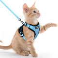 rabbitgoo Cat Harness and Leash Set, Escape Proof Vest, Black | Soft Breathable Mesh, Easy Adjustable Fit, Snap Buckles, Sturdy Clip, Reflective Strips, for Small & Average Cats Walks, Xs