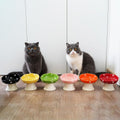 Orange Mushroom Cat Bowl, Elevated Ceramic Bowl for Cats