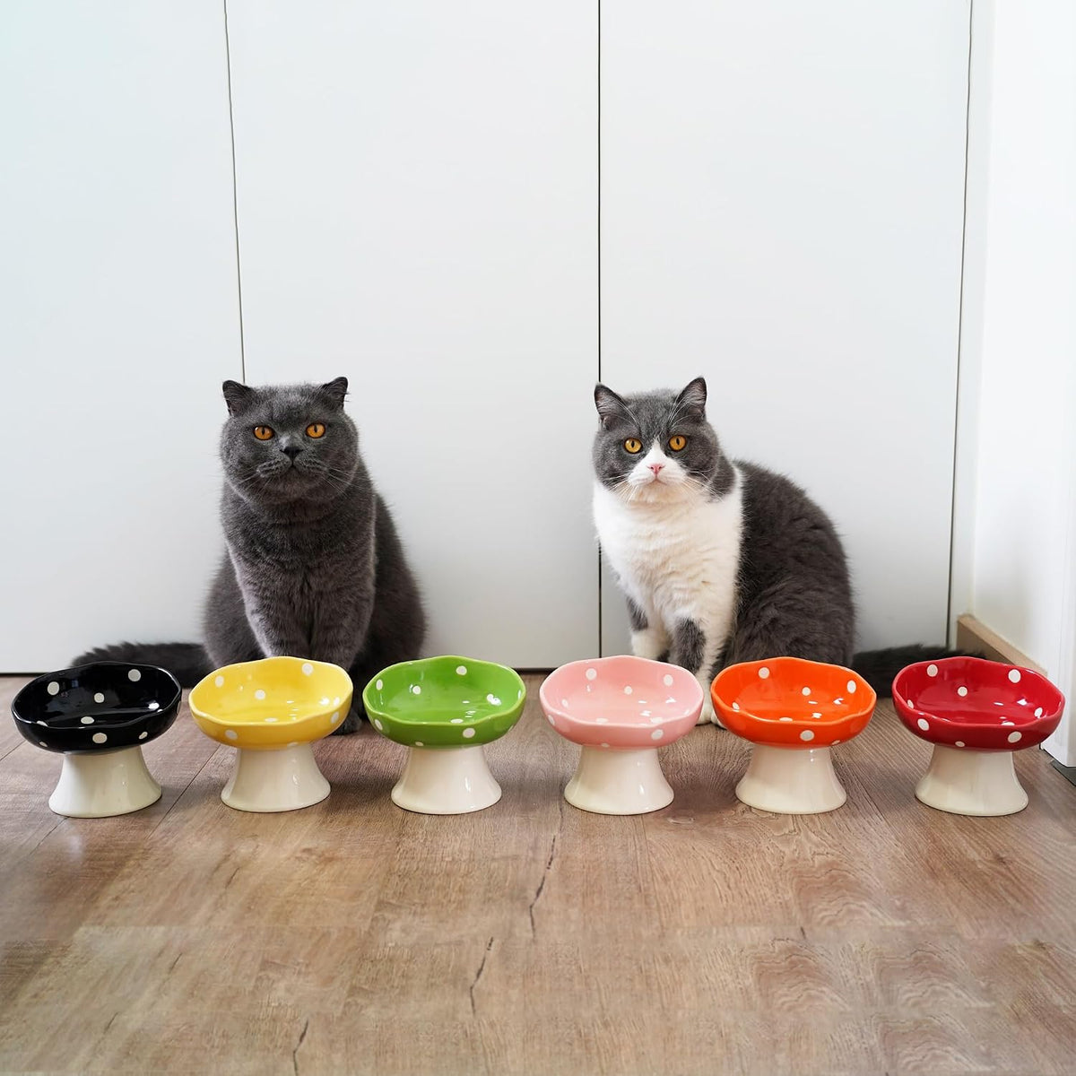 Orange Mushroom Cat Bowl, Elevated Ceramic Bowl for Cats