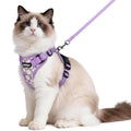 rabbitgoo Cat Harness and Leash Set, Escape Proof Vest, Black | Soft Breathable Mesh, Easy Adjustable Fit, Snap Buckles, Sturdy Clip, Reflective Strips, for Small & Average Cats Walks, Xs