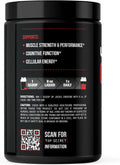 Jocko Fuel Creatine Monohydrate, Pure Micronized Powder for Men & Women, Supports Muscle Growth, Strength, Recovery & Cognition, Unflavored, 450 Grams, 90 Servings