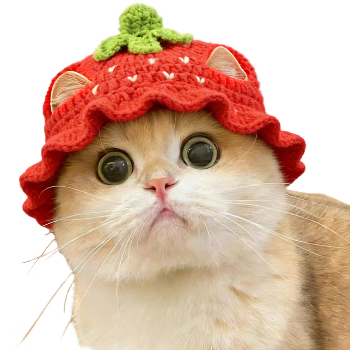 Cute Cat Hats Costume Suitable for 5 to16 lbs - Rabbit Kitten Hat Head Circumference 11" or Less Cat Hats for Cats only Pet Photography Outfits