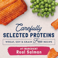 Natural Balance Limited Ingredient Adult Grain-Free Dry Cat Food - Balanced Nutrition - Soy-Free, Corn-Free Limited Ingredient Formula - 10 lb - Salmon & Green Pea Recipe