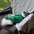 Midlee Green Dog Pajamas (Medium)
