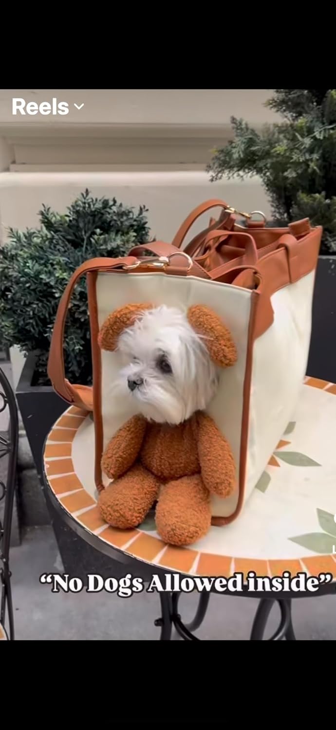 Dog/cat Carrier Purse – Viral on TikTok! Soft Travel Tote for Small Dogs or Cats with Leash Clip & Peek Window – Cute Bag for Bichon, Poodle, Yorkie, Chihuahua (