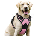 rabbitgoo Dog Harness No Pull with 2 Leash Clips, Adjustable Soft Padded, Reflective Oxford No Choke Pet Vest with Easy Control Handle for Medium Sized Dogs, Black, M