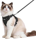 rabbitgoo Cat Harness and Leash Set, Escape Proof Vest, Black | Soft Breathable Mesh, Easy Adjustable Fit, Snap Buckles, Sturdy Clip, Reflective Strips, for Medium to Large Cats Walks, M