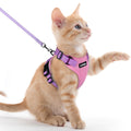 rabbitgoo Cat Harness and Leash Set, Escape Proof Vest, Black | Soft Breathable Mesh, Easy Adjustable Fit, Snap Buckles, Sturdy Clip, Reflective Strips, for Medium to Large Cats Walks, M