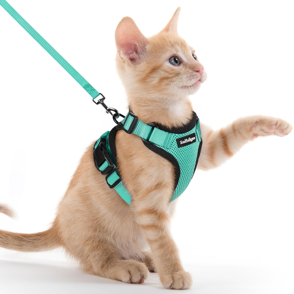 rabbitgoo Cat Harness and Leash Set, Escape Proof Vest, Black | Soft Breathable Mesh, Easy Adjustable Fit, Snap Buckles, Sturdy Clip, Reflective Strips, for Medium to Large Cats Walks, M
