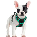 rabbitgoo Dog Harness No Pull with 2 Leash Clips, Adjustable Soft Padded, Reflective Oxford No Choke Pet Vest with Easy Control Handle for Large Dogs, Black, L