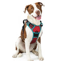 rabbitgoo Dog Harness No Pull with 2 Leash Clips, Adjustable Soft Padded, Reflective Oxford No Choke Pet Vest with Easy Control Handle for Large Dogs, Black, L