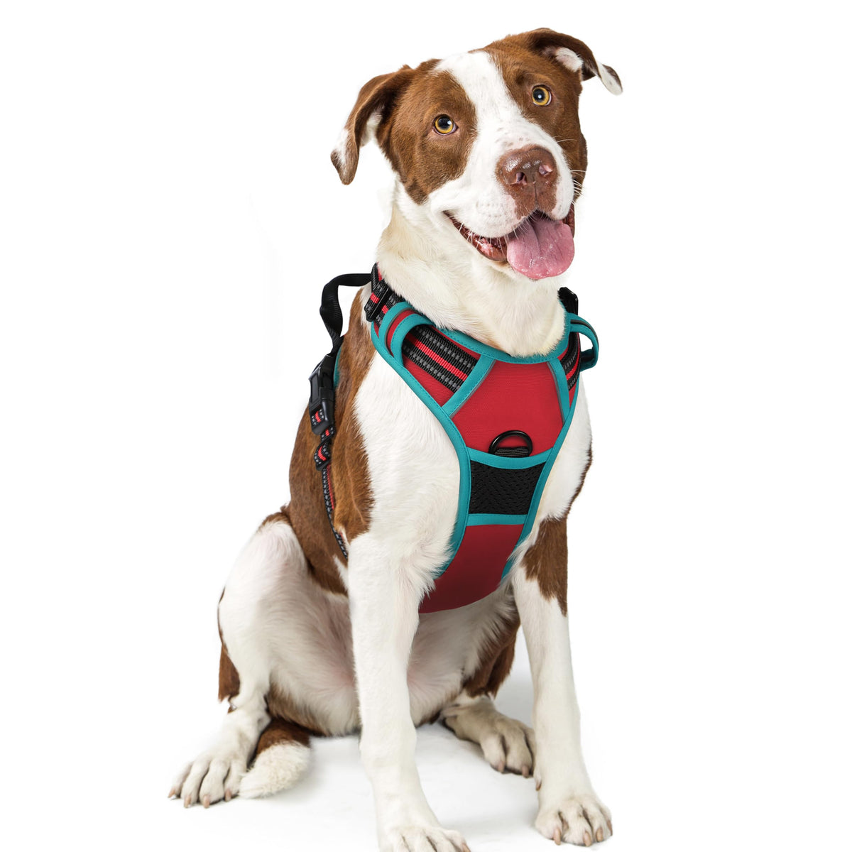 rabbitgoo Dog Harness No Pull with 2 Leash Clips, Adjustable Soft Padded, Reflective Oxford No Choke Pet Vest with Easy Control Handle for Large Dogs, Black, L