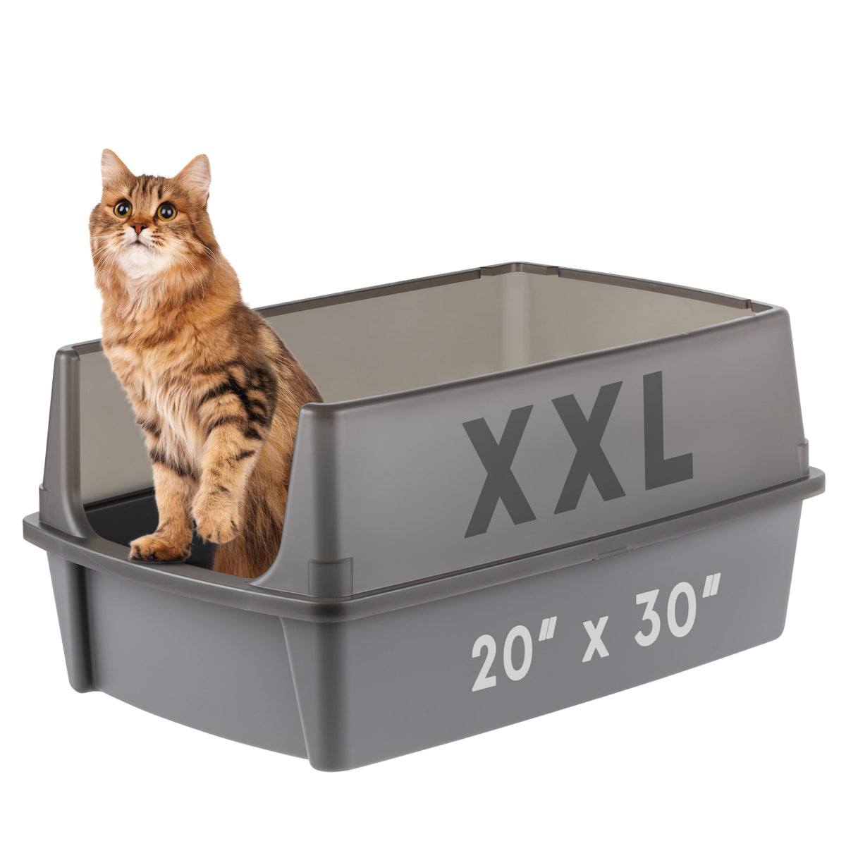 IRIS USA Extra Large Litter Box XXL Open Top High Sided Walls Scatter Shield Scoop Included Easy Clean Plastic Pan for Big Cats Multi-Cat Households 30" L x 20" W x 14" H Black