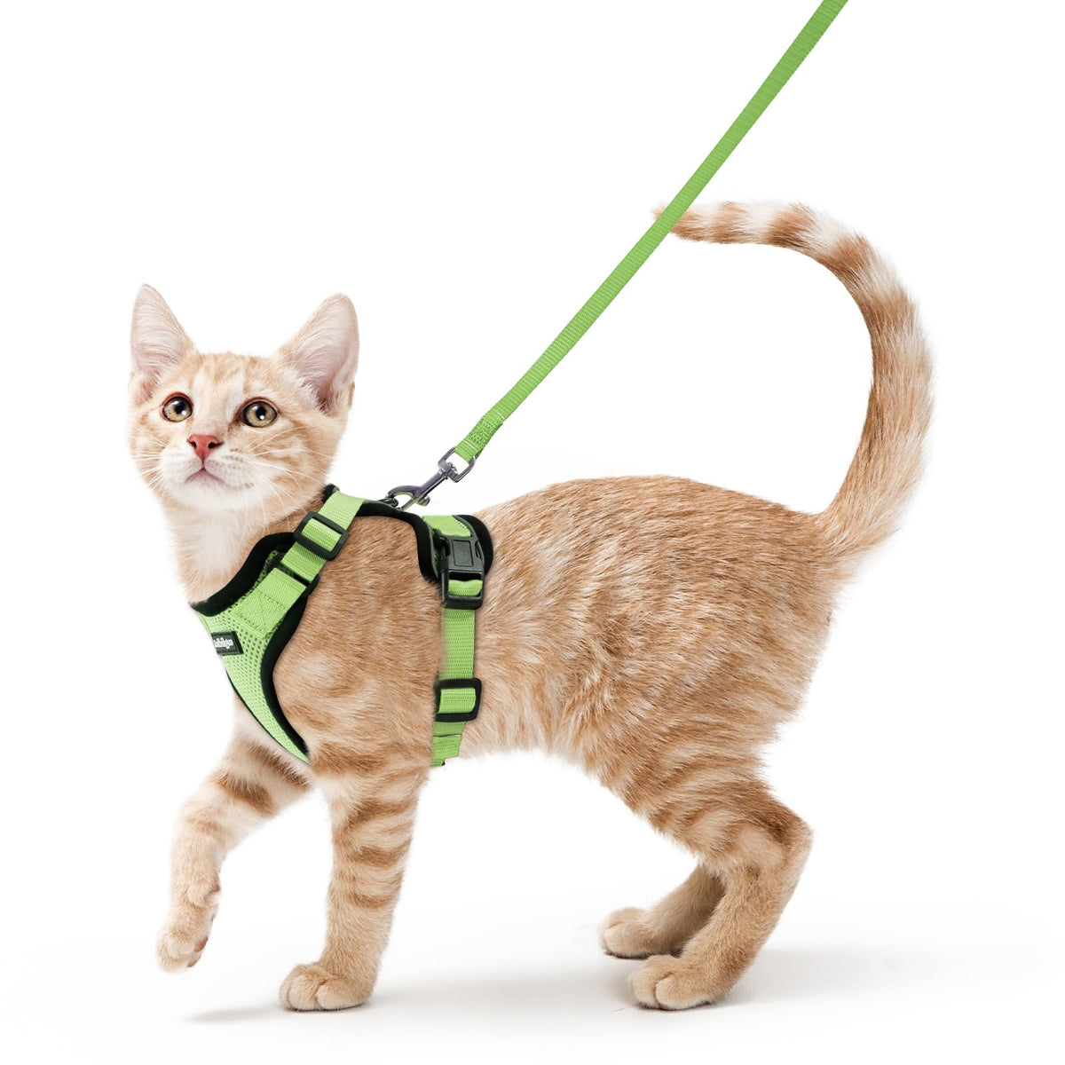rabbitgoo Cat Harness and Leash Set, Escape Proof Vest, Black | Soft Breathable Mesh, Easy Adjustable Fit, Snap Buckles, Sturdy Clip, Reflective Strips, for Small & Average Cats Walks, Xs