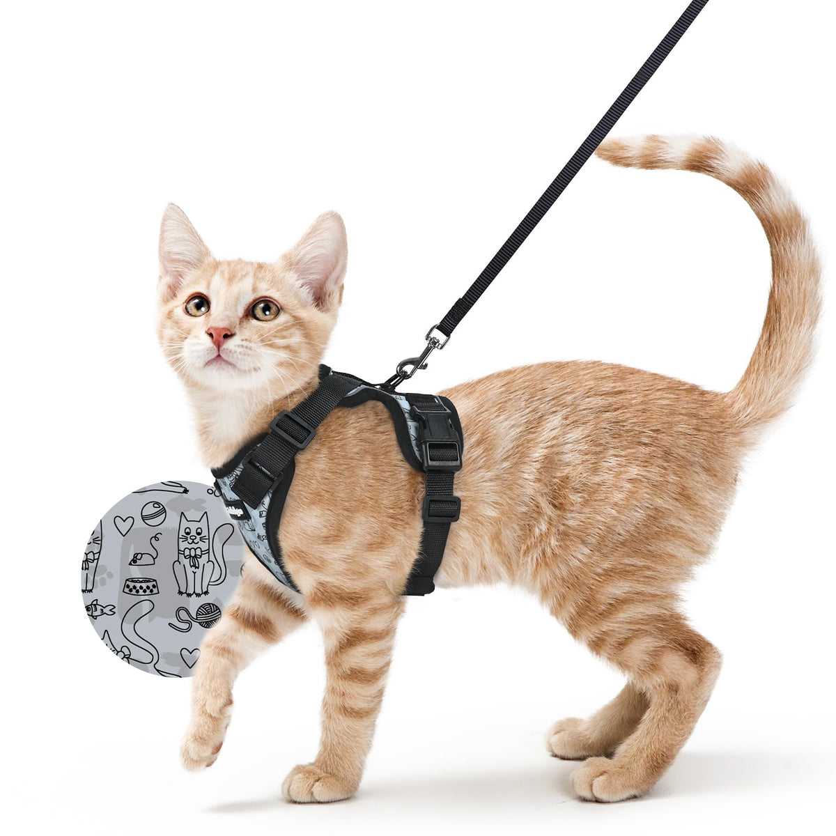rabbitgoo Cat Harness and Leash Set, Escape Proof Vest, Black | Soft Breathable Mesh, Easy Adjustable Fit, Snap Buckles, Sturdy Clip, Reflective Strips, for Small & Average Cats Walks, Xs
