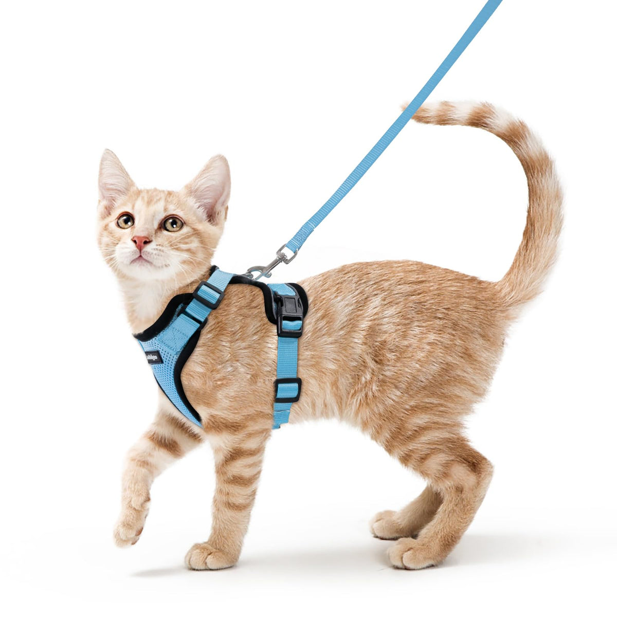 rabbitgoo Cat Harness and Leash Set, Escape Proof Vest, Black | Soft Breathable Mesh, Easy Adjustable Fit, Snap Buckles, Sturdy Clip, Reflective Strips, for Small & Average Cats Walks, Xs