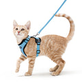 rabbitgoo Cat Harness and Leash Set, Escape Proof Vest, Black | Soft Breathable Mesh, Easy Adjustable Fit, Snap Buckles, Sturdy Clip, Reflective Strips, for Medium to Large Cats Walks, M