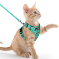 rabbitgoo Cat Harness and Leash Set, Escape Proof Vest, Black | Soft Breathable Mesh, Easy Adjustable Fit, Snap Buckles, Sturdy Clip, Reflective Strips, for Small & Average Cats Walks, Xs