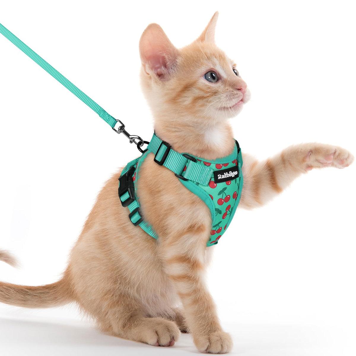 rabbitgoo Cat Harness and Leash Set, Escape Proof Vest, Black | Soft Breathable Mesh, Easy Adjustable Fit, Snap Buckles, Sturdy Clip, Reflective Strips, for Small & Average Cats Walks, Xs
