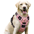 rabbitgoo Dog Harness No Pull with 2 Leash Clips, Adjustable Soft Padded, Reflective Oxford No Choke Pet Vest with Easy Control Handle for Medium Sized Dogs, Black, M