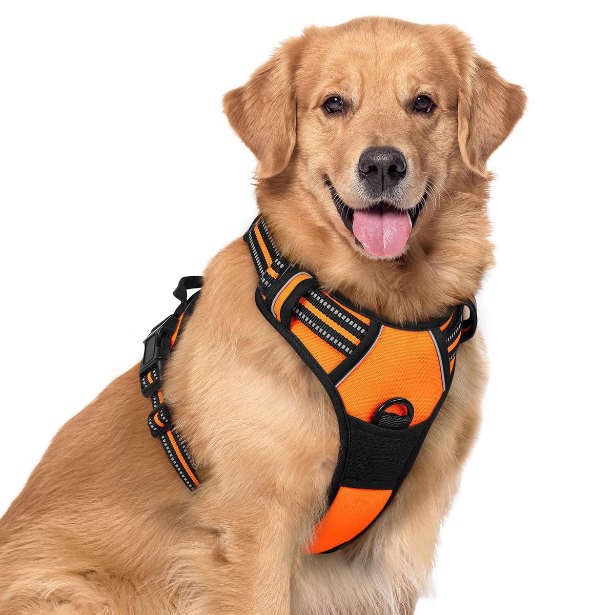rabbitgoo Dog Harness No Pull with 2 Leash Clips, Adjustable Soft Padded, Reflective Oxford No Choke Pet Vest with Easy Control Handle for Medium Sized Dogs, Black, M