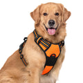 rabbitgoo Dog Harness No Pull with 2 Leash Clips, Adjustable Soft Padded, Reflective Oxford No Choke Pet Vest with Easy Control Handle for Large Dogs, Black, L