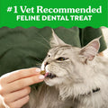 Greenies Cat Treats, Feline Veterinarian-Recommended Adult Natural Dental Cat Treats, Oven Roasted Chicken Flavor, 4.6 oz. Pouch