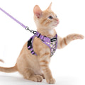 rabbitgoo Cat Harness and Leash Set, Escape Proof Vest, Black | Soft Breathable Mesh, Easy Adjustable Fit, Snap Buckles, Sturdy Clip, Reflective Strips, for Small & Average Cats Walks, Xs