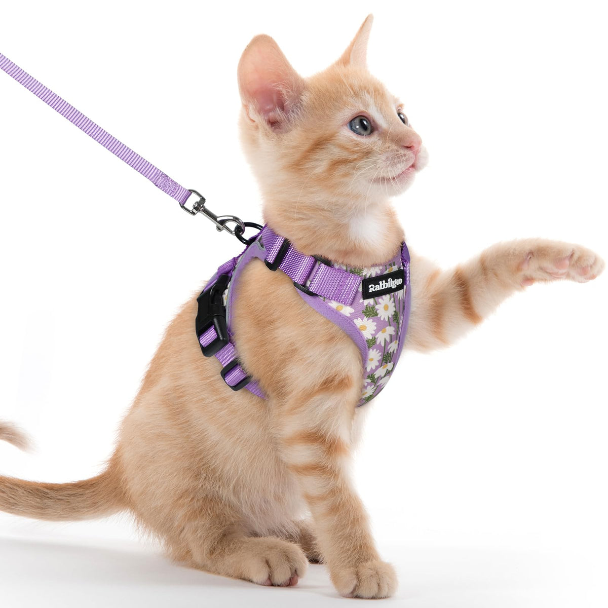 rabbitgoo Cat Harness and Leash Set, Escape Proof Vest, Black | Soft Breathable Mesh, Easy Adjustable Fit, Snap Buckles, Sturdy Clip, Reflective Strips, for Small & Average Cats Walks, Xs