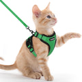rabbitgoo Cat Harness and Leash Set, Escape Proof Vest, Black | Soft Breathable Mesh, Easy Adjustable Fit, Snap Buckles, Sturdy Clip, Reflective Strips, for Small & Average Cats Walks, Xs