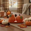 Set of 3 Thanksgiving Pumpkin Salt and Pepper Shakers with Tray Ceramic