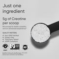 Sports Research® Creatine Monohydrate Powder 5g, Unflavored (100 Servings) | Micronized Creatine Supporting Lean Muscle, Performance & Workout Recovery | Informed Sport, Non-GMO, Gluten-Free